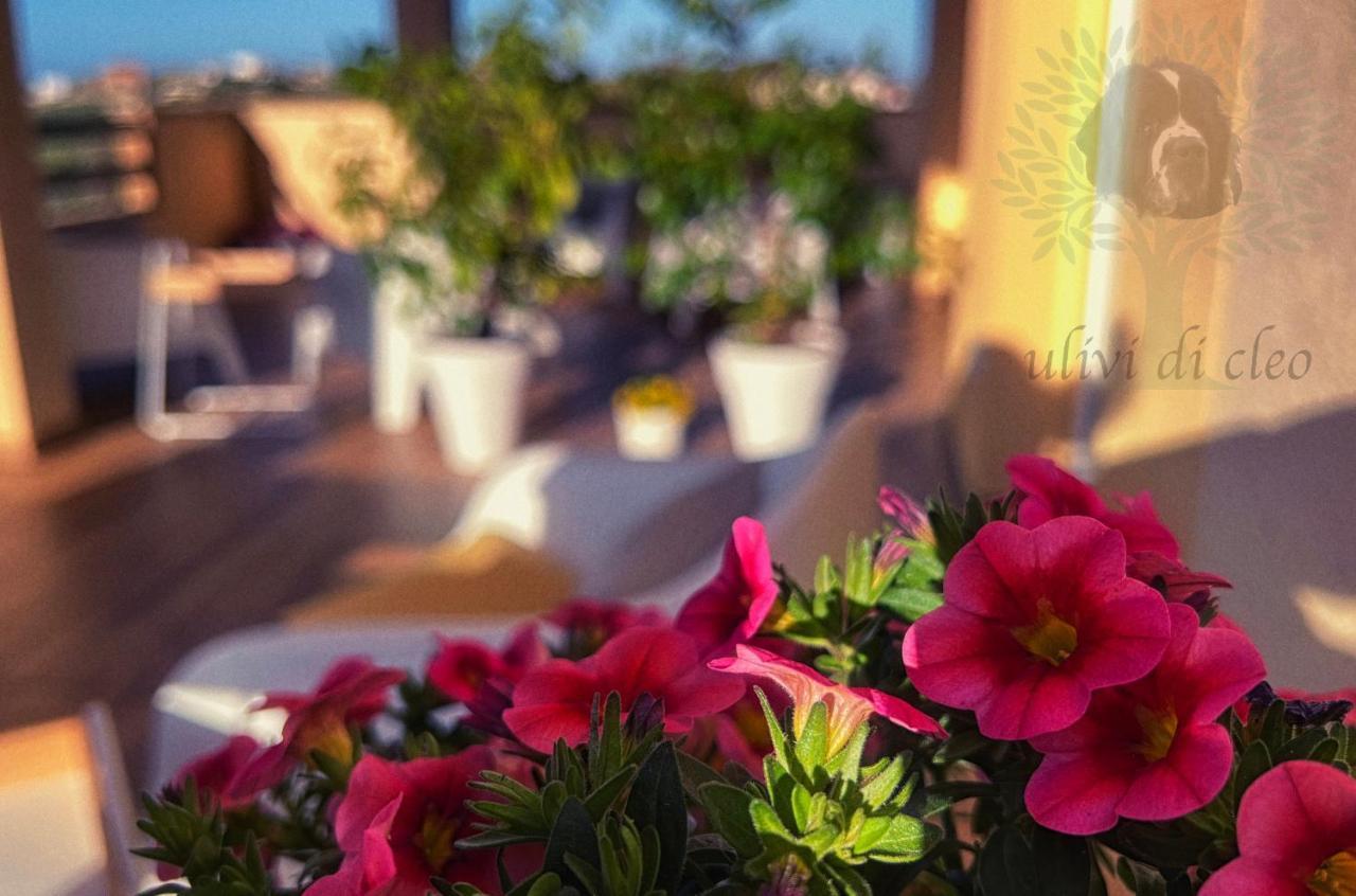Ulivi Di Cleo Pension Realmonte Buitenkant foto