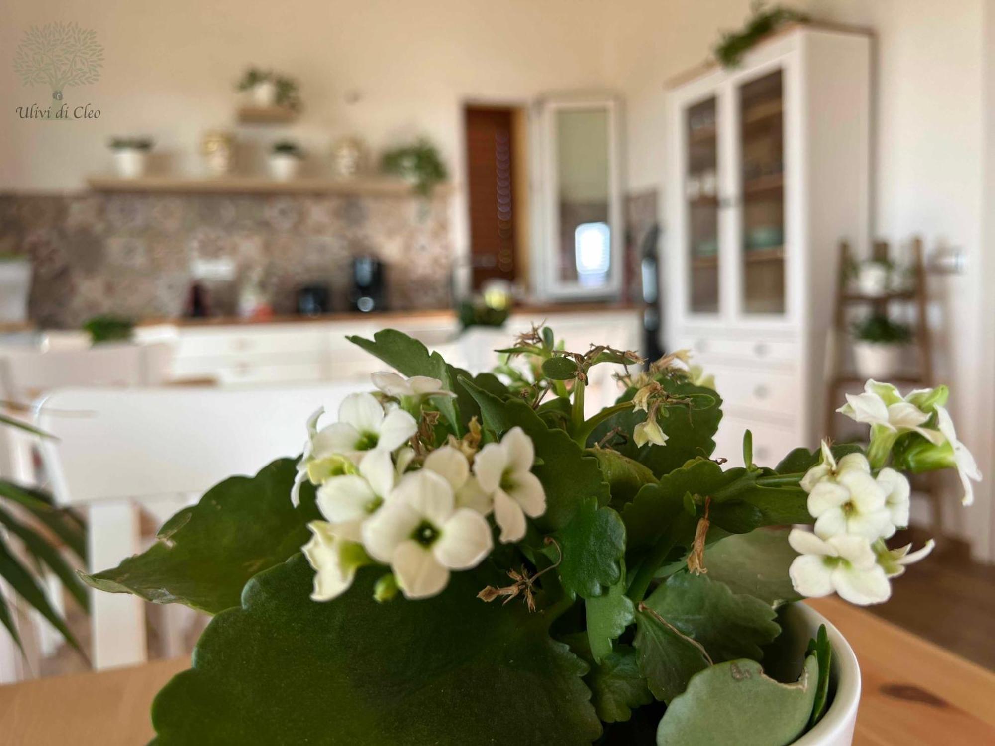 Ulivi Di Cleo Pension Realmonte Buitenkant foto