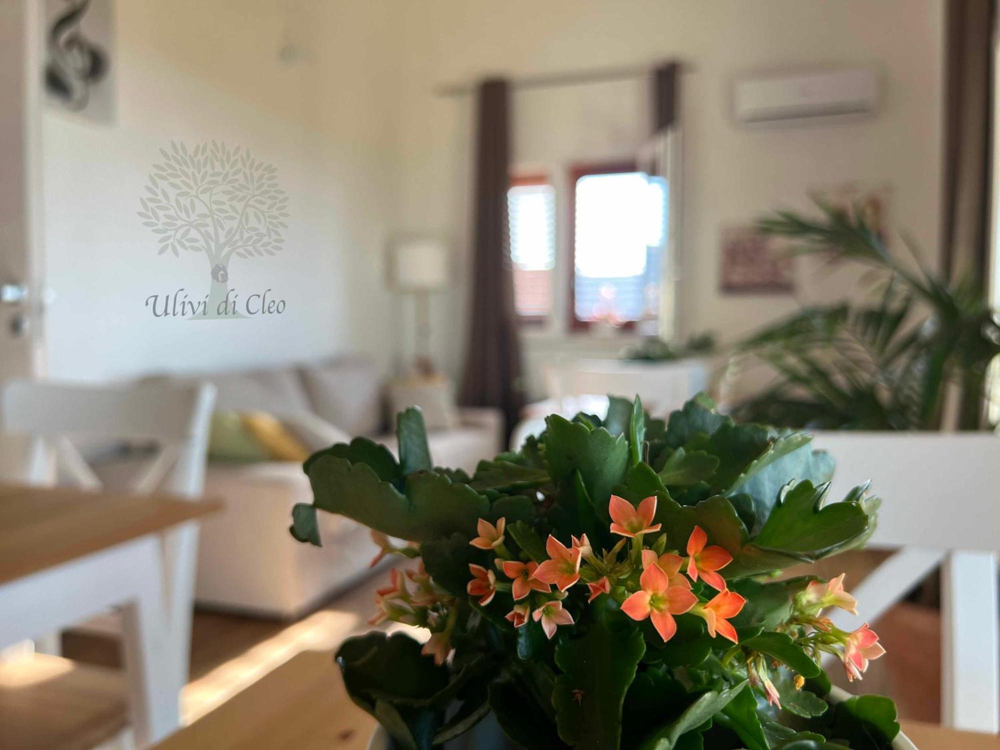 Ulivi Di Cleo Pension Realmonte Buitenkant foto