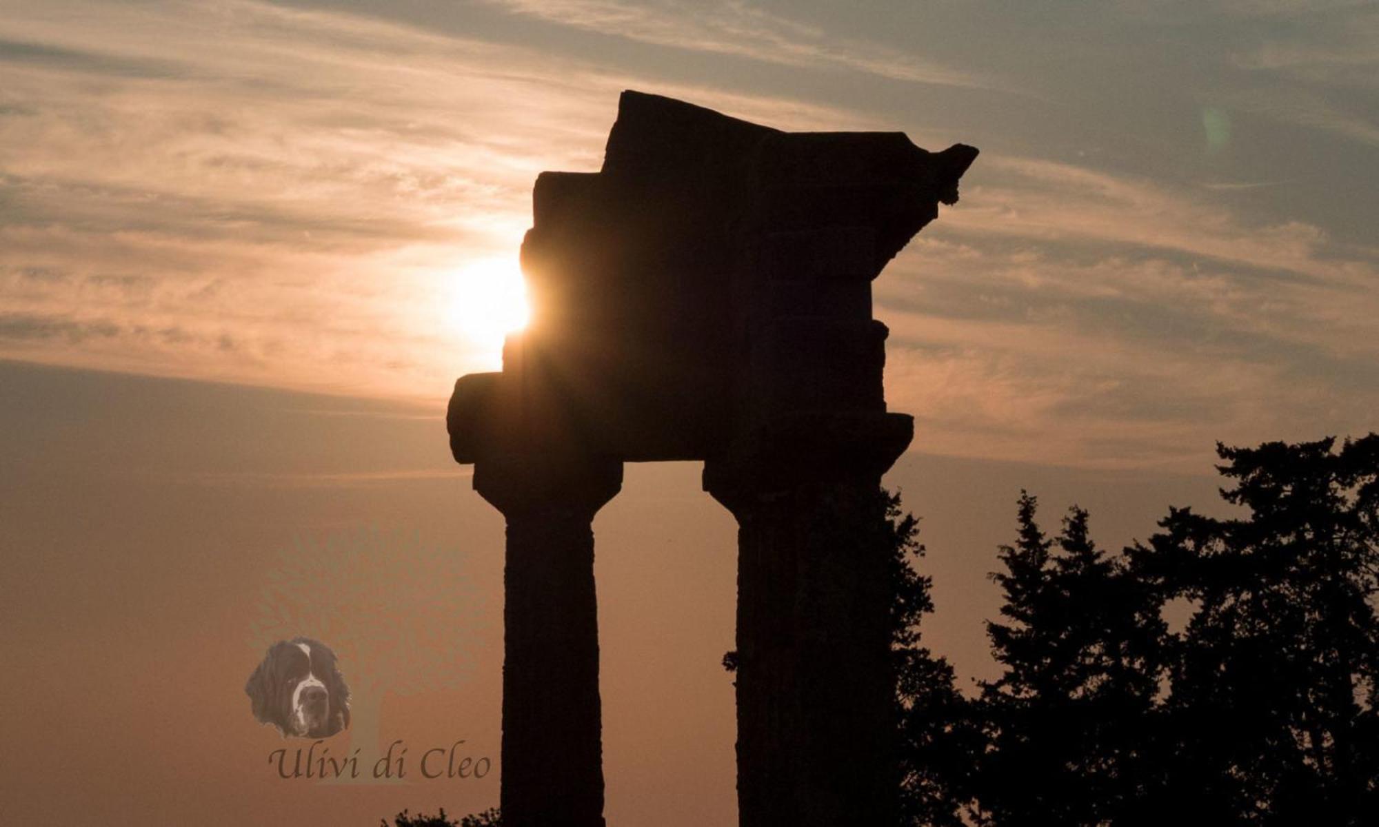 Ulivi Di Cleo Pension Realmonte Buitenkant foto
