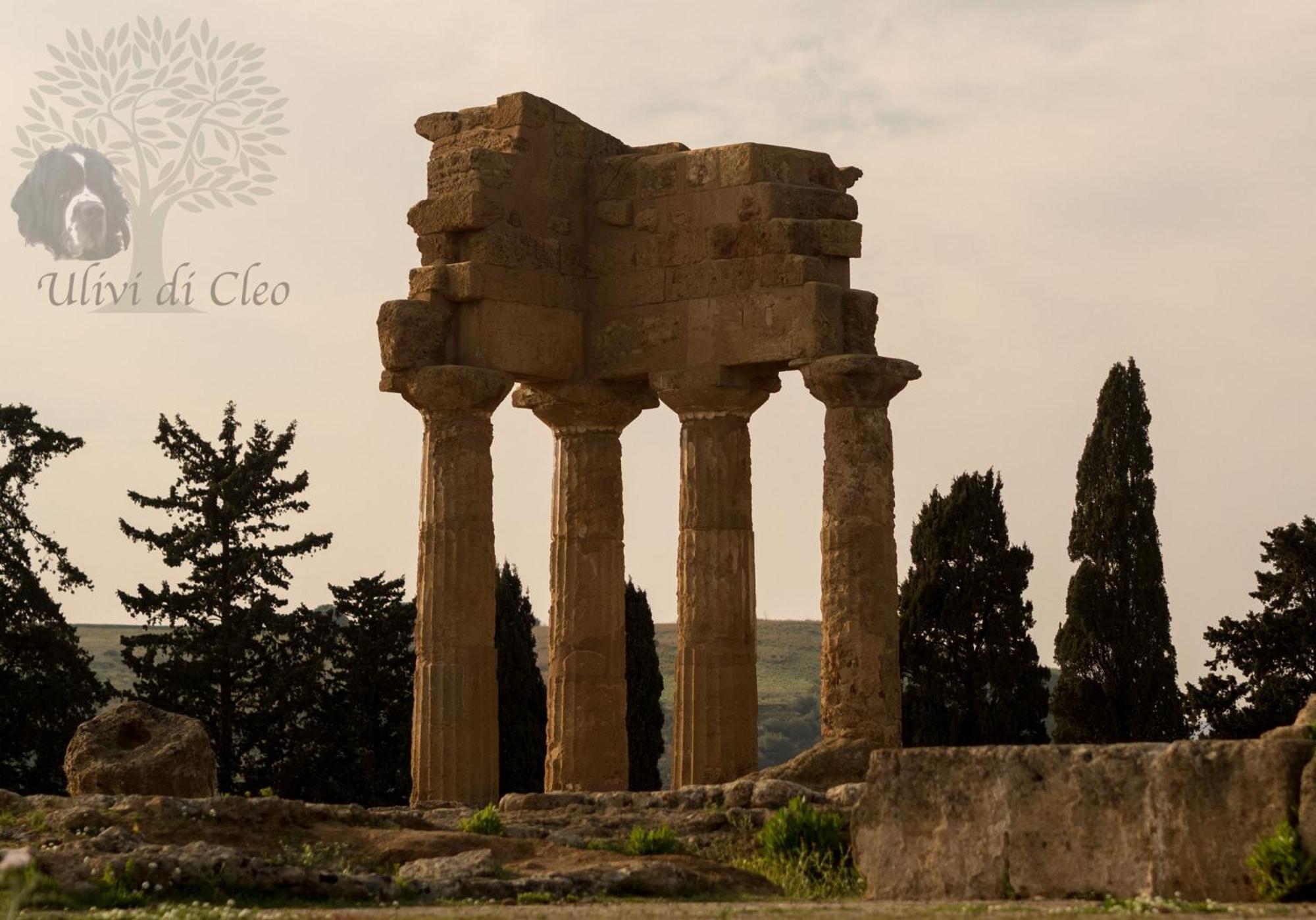 Ulivi Di Cleo Pension Realmonte Buitenkant foto