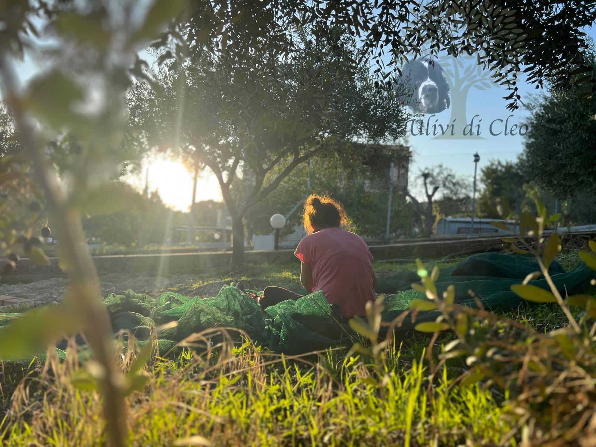 Ulivi Di Cleo Pension Realmonte Buitenkant foto