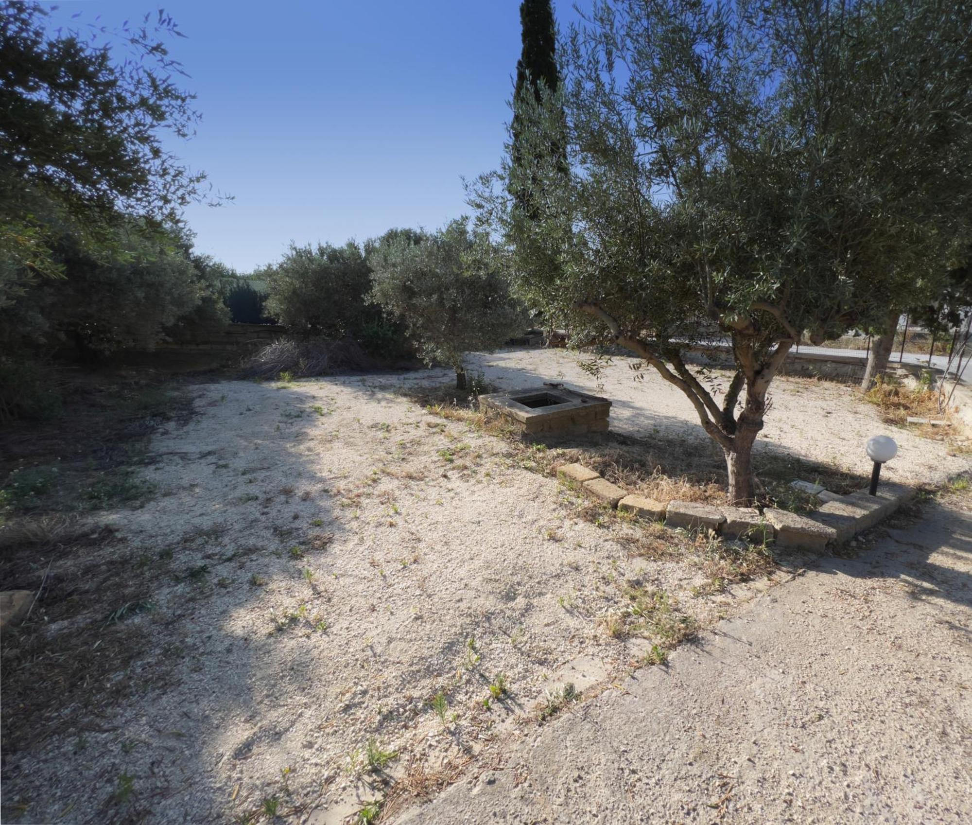 Ulivi Di Cleo Pension Realmonte Buitenkant foto