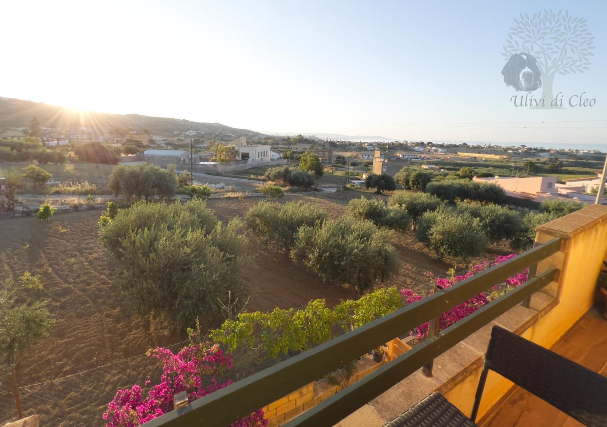 Ulivi Di Cleo Pension Realmonte Buitenkant foto